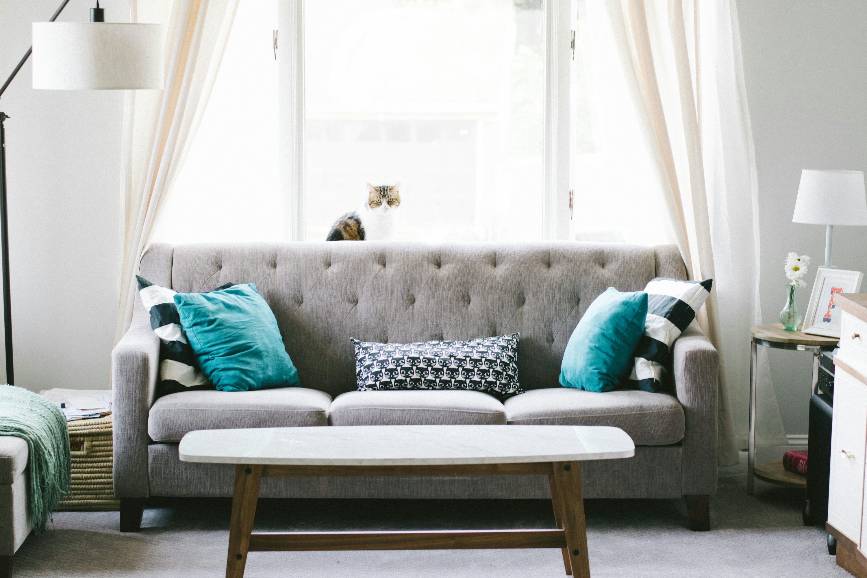 Premium Sofa Designs by Regnant Sofas in Bangalore